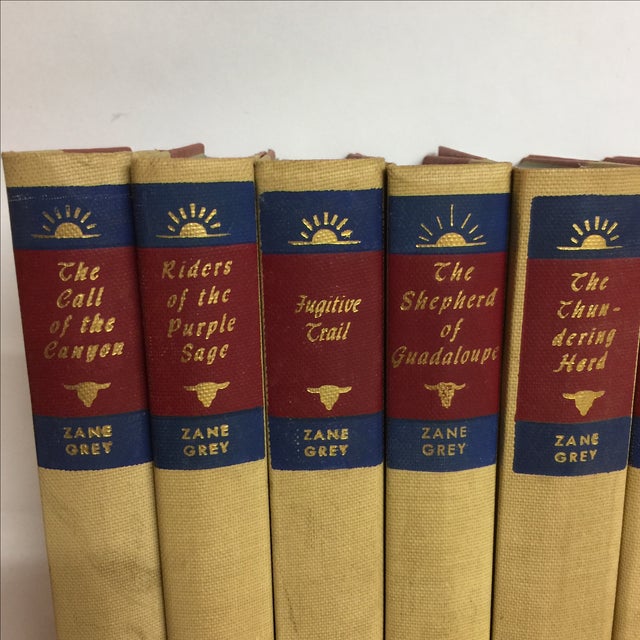 Set of Zane Grey Vintage Books 11 Chairish