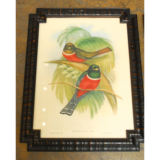 J. Gould Framed Prints Pair Chairish
