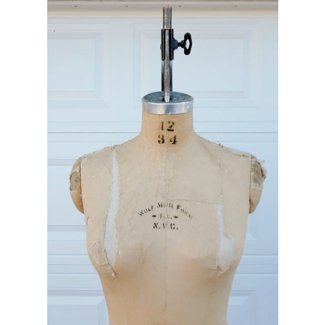 Wolf Mannequin Collapsible Hanging Dress Form Chairish