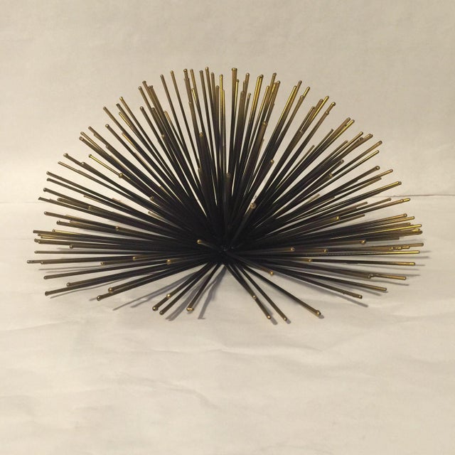 10" Sea Urchins Wall Decor Set of 3 Chairish