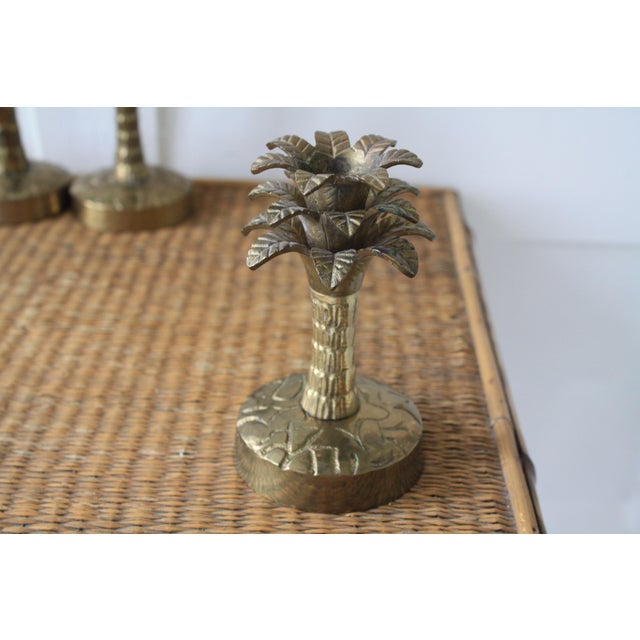 Brass Palm Tree Candle Holders Set of 3 Chairish