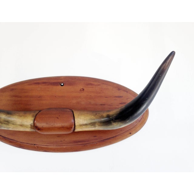 Vintage Wall Mounted Bull Horns Chairish
