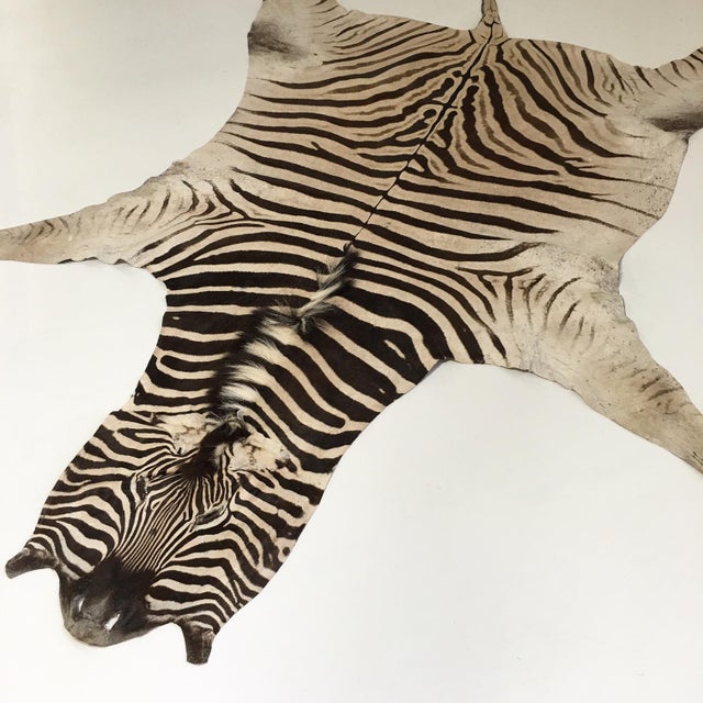 Zebra Hide Rug 6′6″ × 8′ Chairish