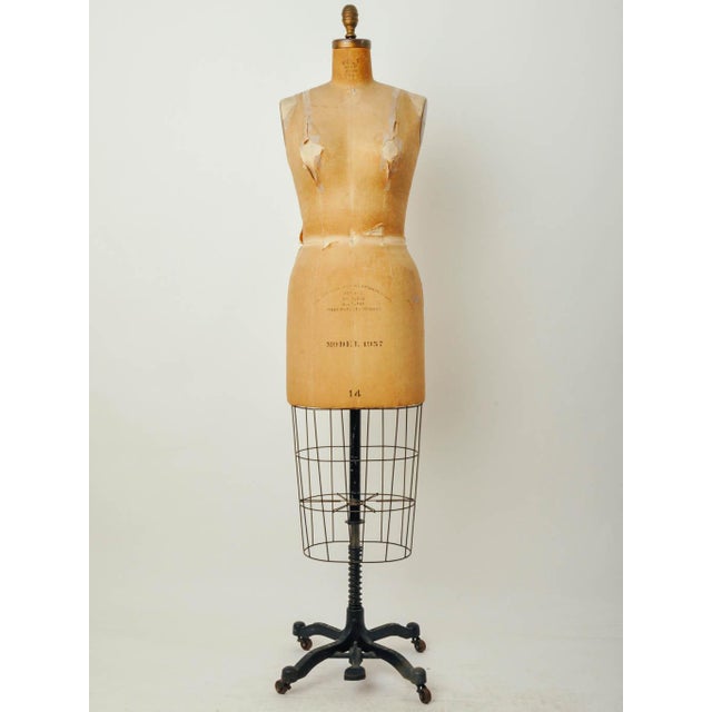 Vintage Wolf Model Dress Form Chairish