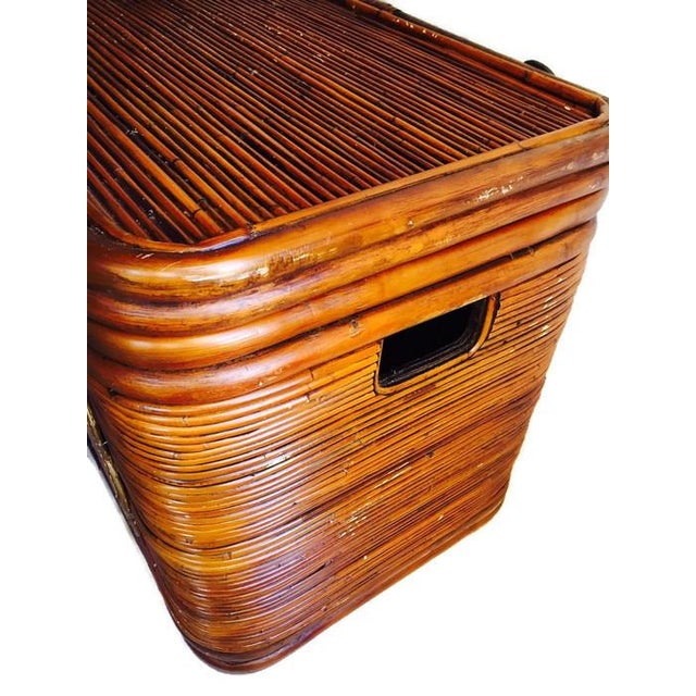 Large Bent Bamboo Trunk Boho Storage Chest Chairish