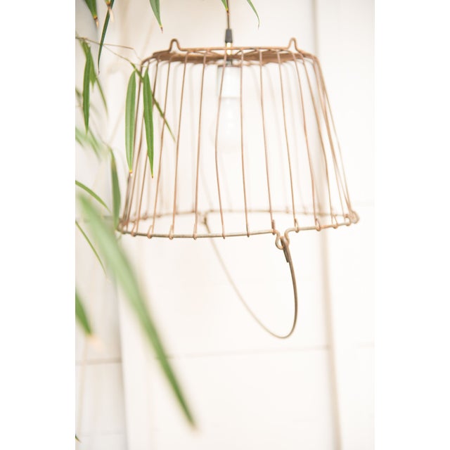 Vintage Egg Basket Pendant Light Large Chairish
