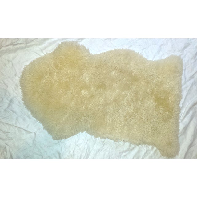Vintage New Zealand Sheepskin Rug or Throw Chairish