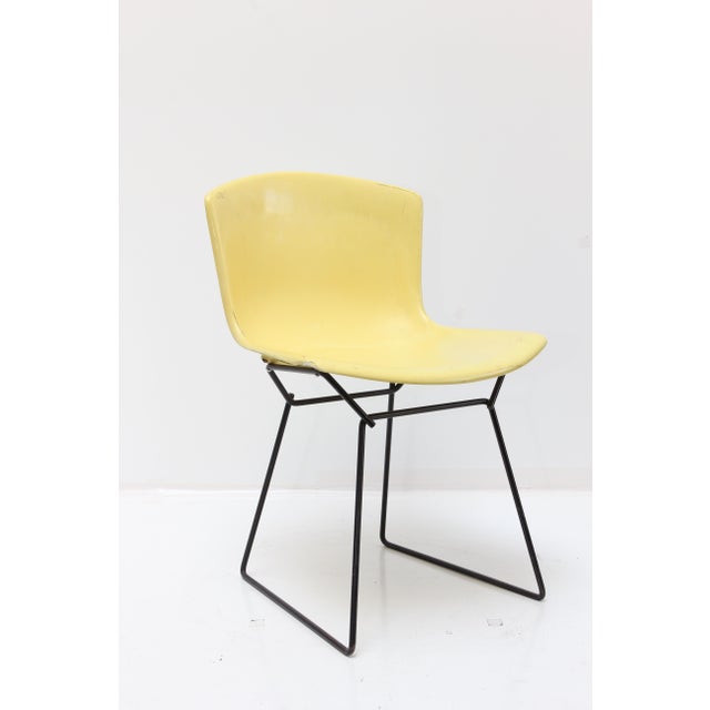 Knoll Bertoia Fiberglass Side Chair Yellow Chairish