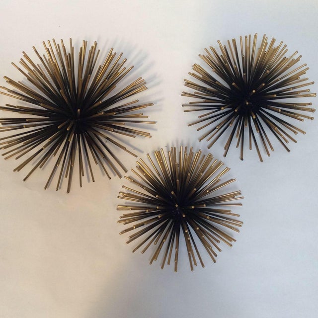 Gold Tipped Sea Urchin Wall Decor Set of 3 Chairish