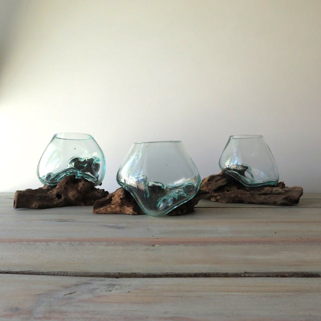 Glass on Teak Driftwood Terrarium Chairish