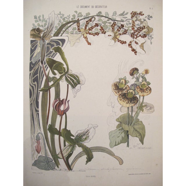 1900s French Art Nouveau Botanical Prints A Pair Chairish