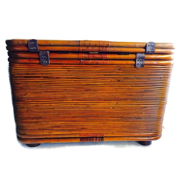 Large Bent Bamboo Trunk Boho Storage Chest Chairish