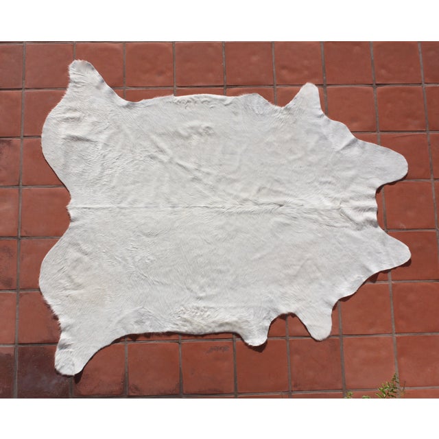 Natural White Brazilian Cowhide 6'4" X 7'5" Chairish