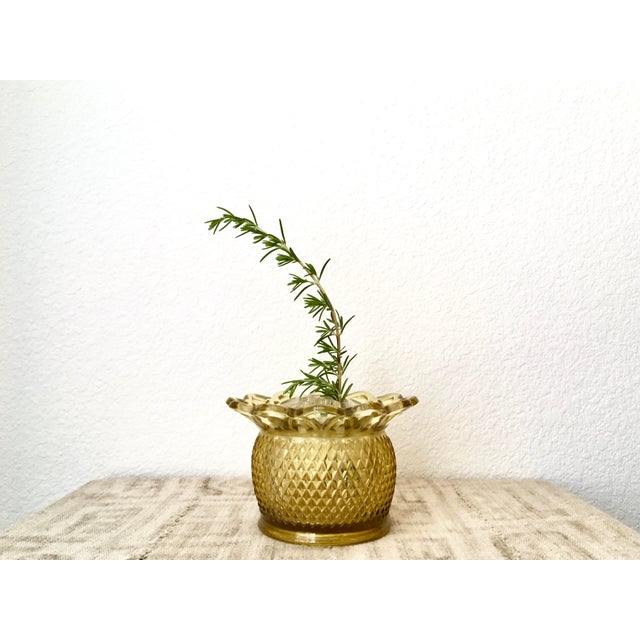 Amber Flower Frog Open Lace Diamond Glass Vase/Bowl Chairish