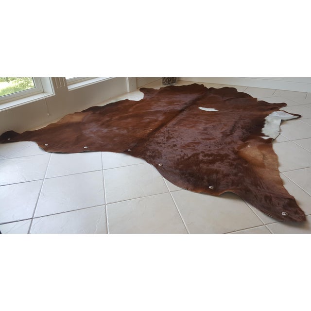 Cow Hide Rug / Wall Hanging 7′ × 8′ Chairish