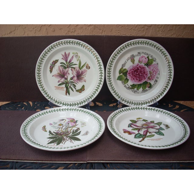 Portmeirion Dinner Plates Set of 4 Chairish