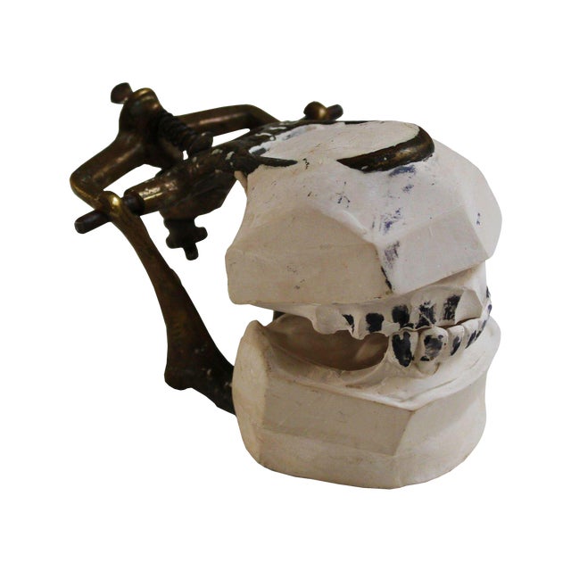 Vintage Dental Mold Chairish