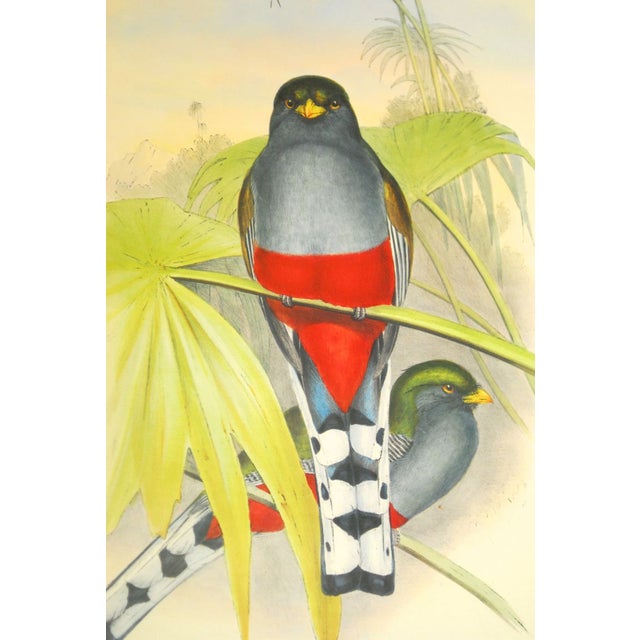 J. Gould Framed Prints Pair Chairish