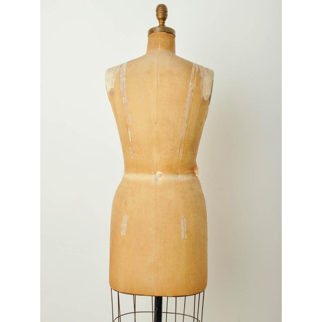 Vintage Wolf Model Dress Form Chairish