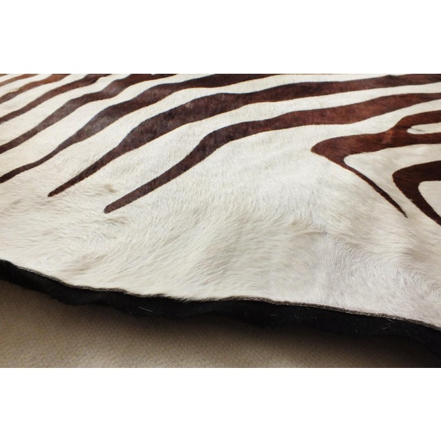 Vintage Zebra Hide Rug 6'3" X 6'10" Chairish
